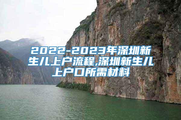 2022-2023年深圳新生儿上户流程,深圳新生儿上户口所需材料
