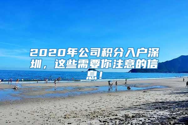 2020年公司积分入户深圳，这些需要你注意的信息！