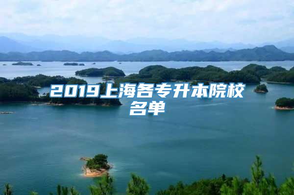 2019上海各专升本院校名单
