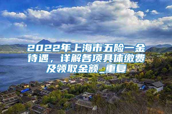 2022年上海市五险一金待遇，详解各项具体缴费及领取金额_重复