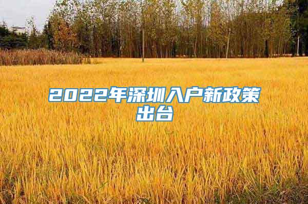 2022年深圳入户新政策出台