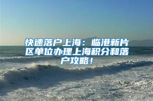 快速落户上海：临港新片区单位办理上海积分和落户攻略！