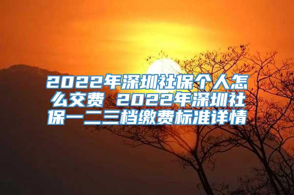 2022年深圳社保个人怎么交费 2022年深圳社保一二三档缴费标准详情