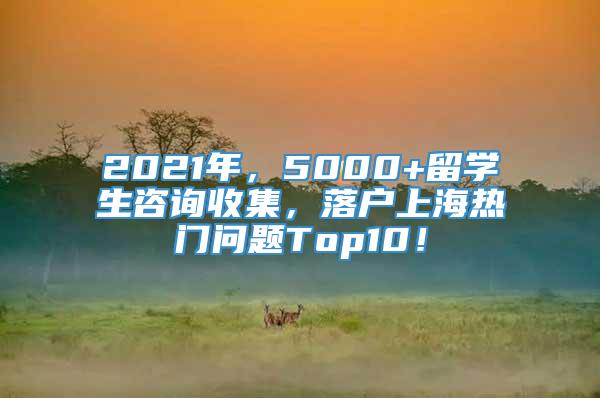 2021年，5000+留学生咨询收集，落户上海热门问题Top10！