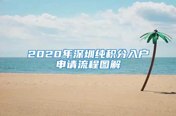 2020年深圳纯积分入户申请流程图解