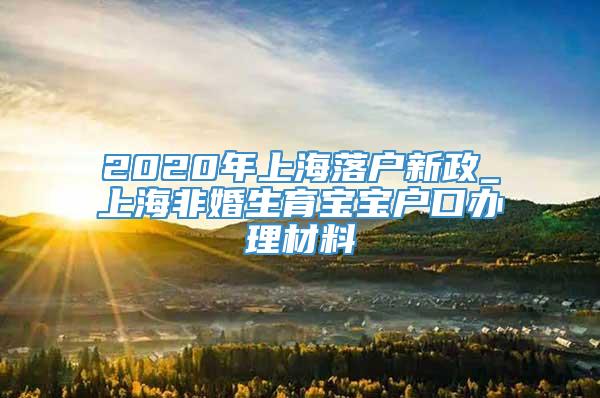 2020年上海落户新政_上海非婚生育宝宝户口办理材料