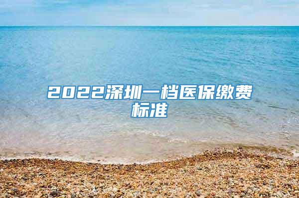 2022深圳一档医保缴费标准