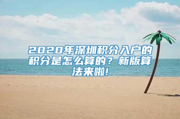 2020年深圳积分入户的积分是怎么算的？新版算法来啦!