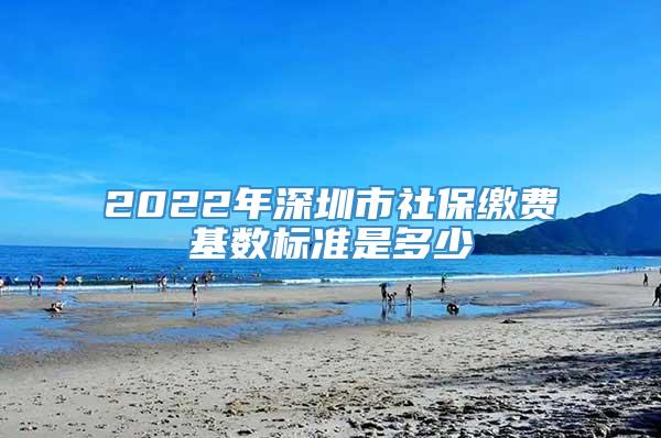 2022年深圳市社保缴费基数标准是多少