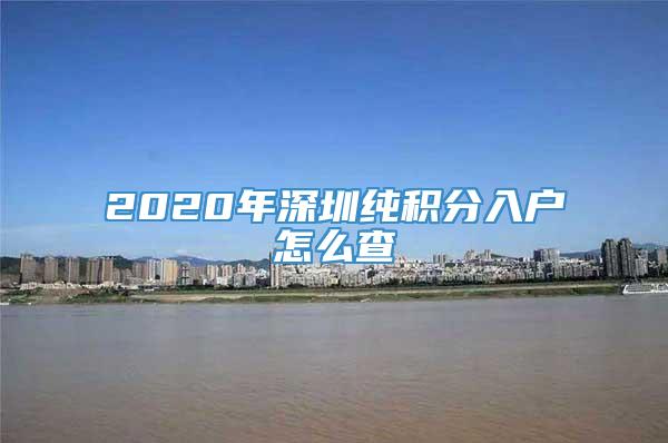 2020年深圳纯积分入户怎么查