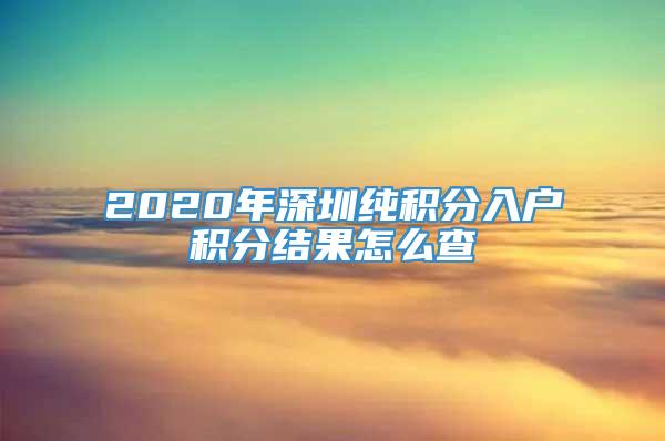 2020年深圳纯积分入户积分结果怎么查