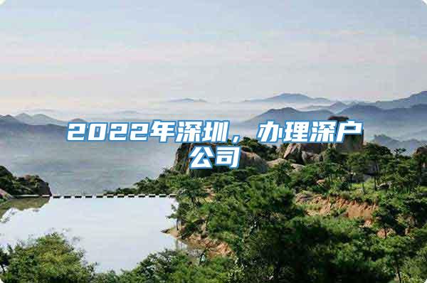 2022年深圳，办理深户公司
