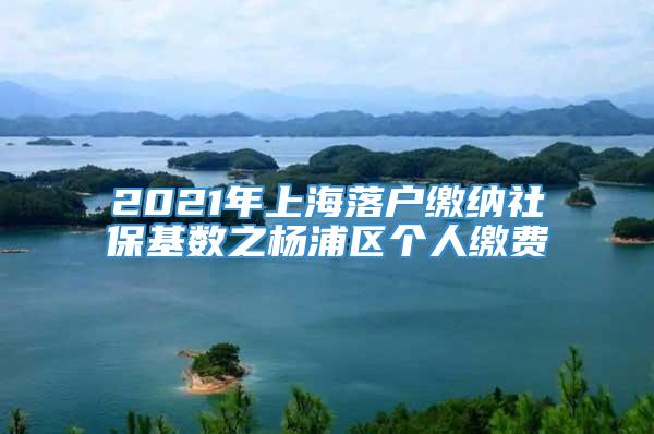 2021年上海落户缴纳社保基数之杨浦区个人缴费