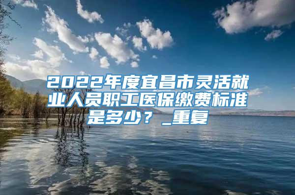 2022年度宜昌市灵活就业人员职工医保缴费标准是多少？_重复