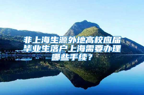 非上海生源外地高校应届毕业生落户上海需要办理哪些手续？