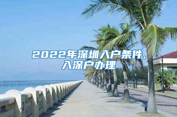 2022年深圳入户条件,入深户办理