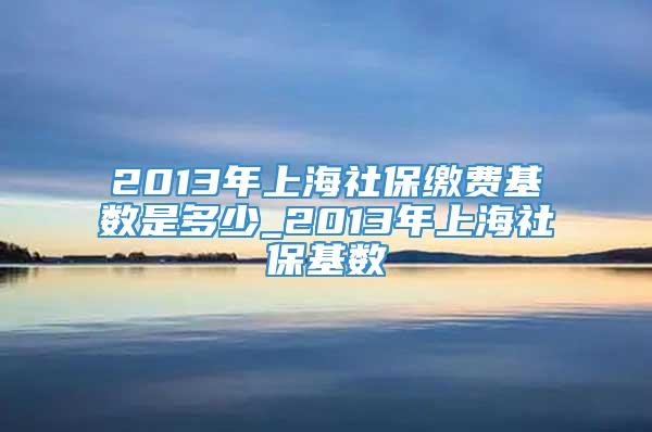 2013年上海社保缴费基数是多少_2013年上海社保基数