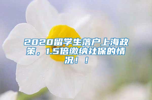 2020留学生落户上海政策，1.5倍缴纳社保的情况！！