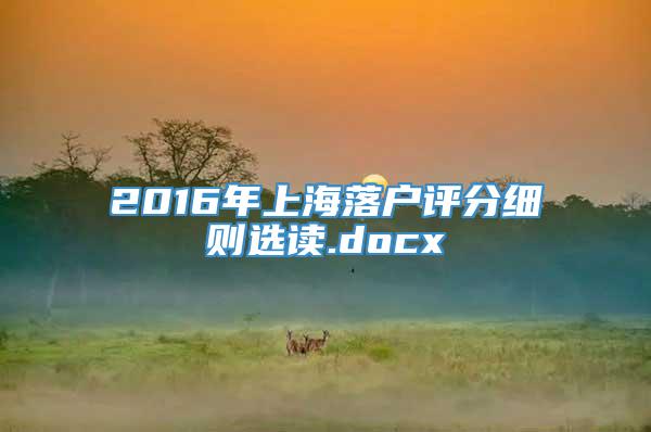 2016年上海落户评分细则选读.docx