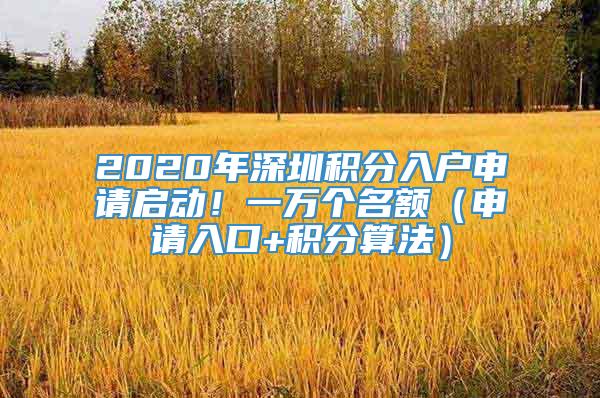 2020年深圳积分入户申请启动！一万个名额（申请入口+积分算法）