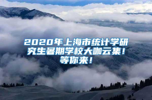 2020年上海市统计学研究生暑期学校大咖云集！等你来！
