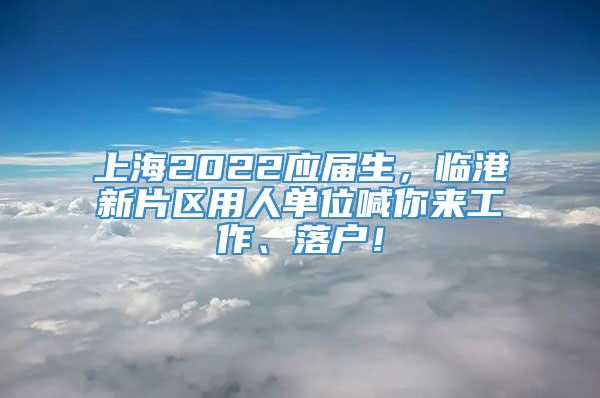 上海2022应届生，临港新片区用人单位喊你来工作、落户！