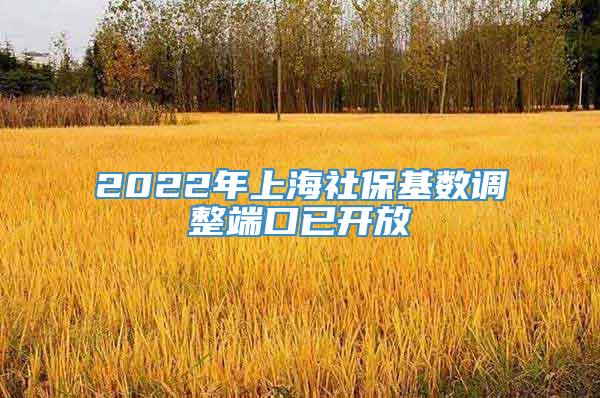 2022年上海社保基数调整端口已开放