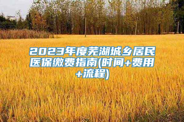 2023年度芜湖城乡居民医保缴费指南(时间+费用+流程)
