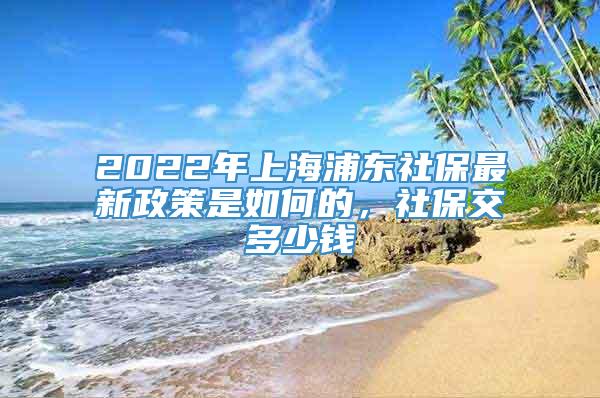2022年上海浦东社保最新政策是如何的，社保交多少钱