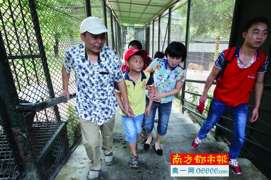 昨日，吴树梁带着妻子、儿子在几名义工的陪同下到深圳野生动物园免费游玩，这是他们一家第一次走进动物园。南都记者 徐文阁 摄