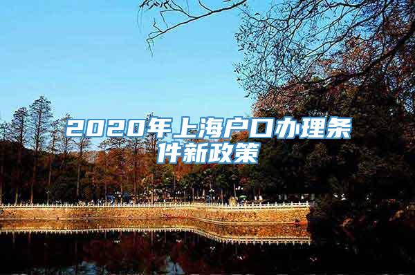 2020年上海户口办理条件新政策