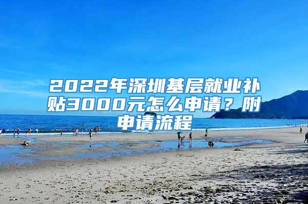 2022年深圳基层就业补贴3000元怎么申请？附申请流程