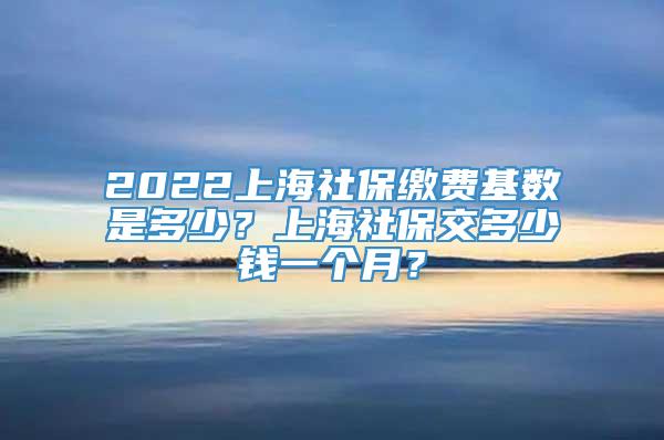 2022上海社保缴费基数是多少？上海社保交多少钱一个月？