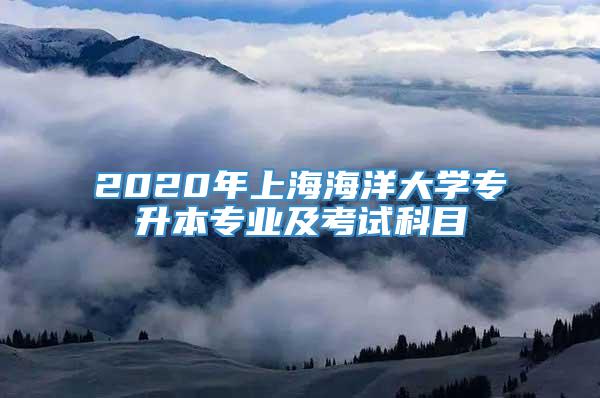 2020年上海海洋大学专升本专业及考试科目