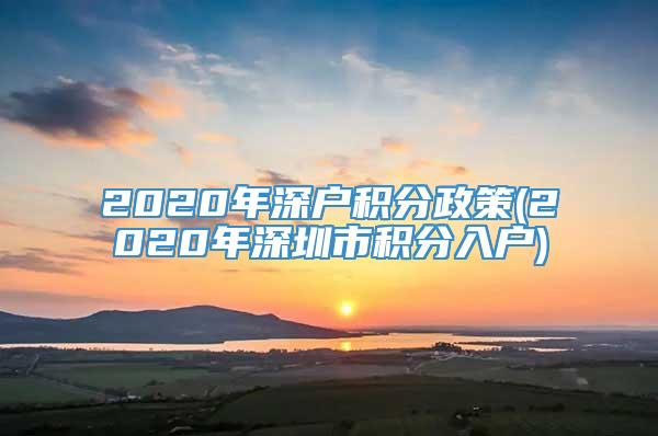 2020年深户积分政策(2020年深圳市积分入户)