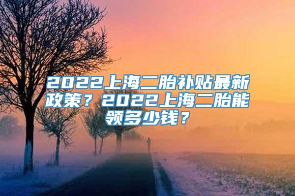 2022上海二胎补贴最新政策？2022上海二胎能领多少钱？