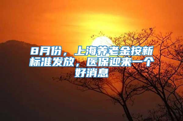 8月份，上海养老金按新标准发放，医保迎来一个好消息