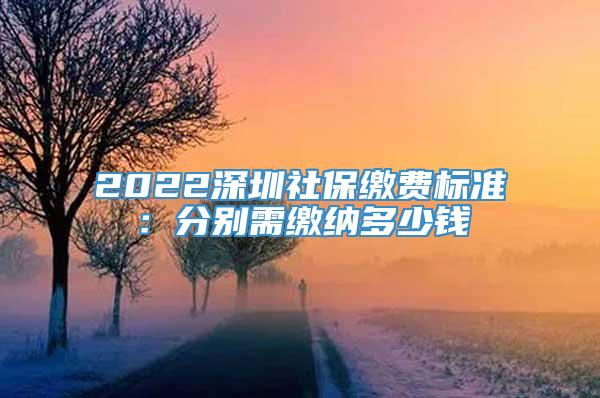 2022深圳社保缴费标准：分别需缴纳多少钱