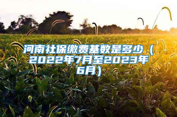 河南社保缴费基数是多少（2022年7月至2023年6月）