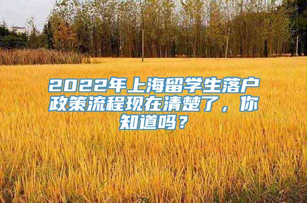 2022年上海留学生落户政策流程现在清楚了，你知道吗？