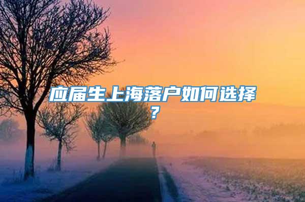 应届生上海落户如何选择？
