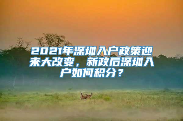 2021年深圳入户政策迎来大改变，新政后深圳入户如何积分？