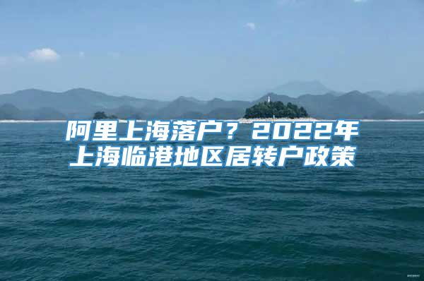 阿里上海落户？2022年上海临港地区居转户政策