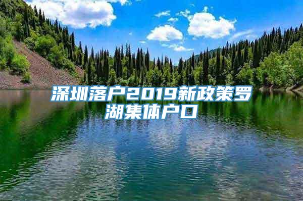 深圳落户2019新政策罗湖集体户口