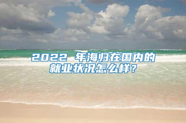 2022 年海归在国内的就业状况怎么样？