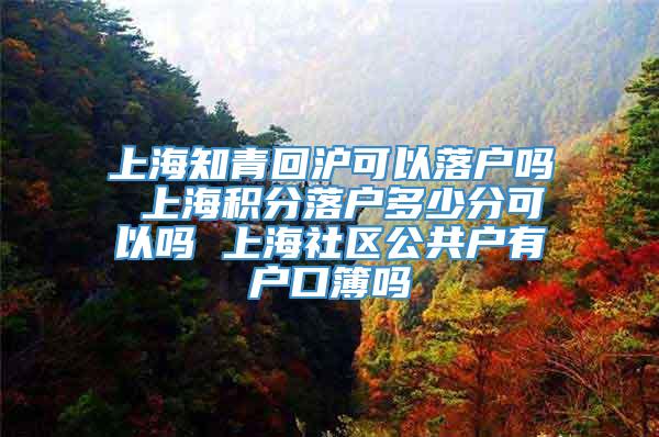 上海知青回沪可以落户吗 上海积分落户多少分可以吗 上海社区公共户有户口簿吗