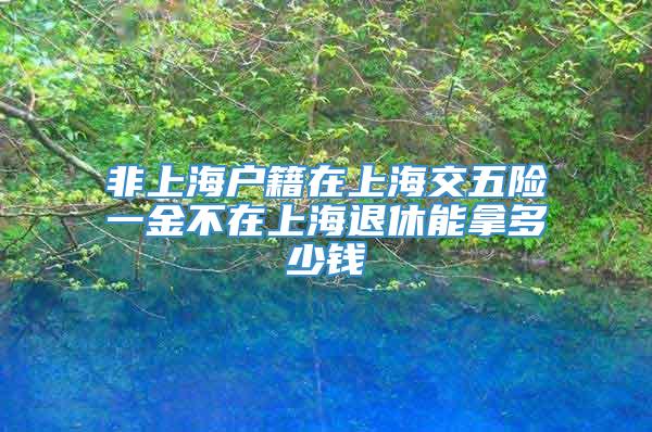 非上海户籍在上海交五险一金不在上海退休能拿多少钱