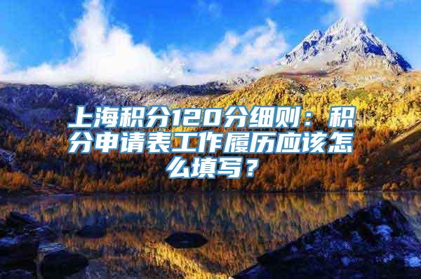 上海积分120分细则：积分申请表工作履历应该怎么填写？