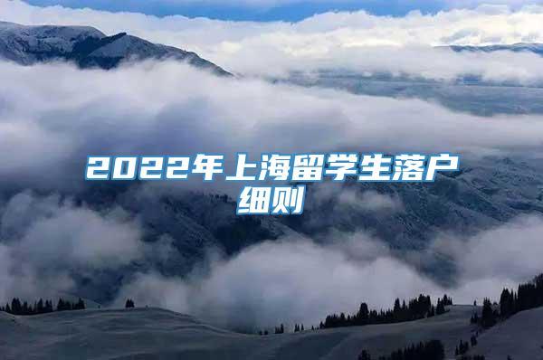2022年上海留学生落户细则