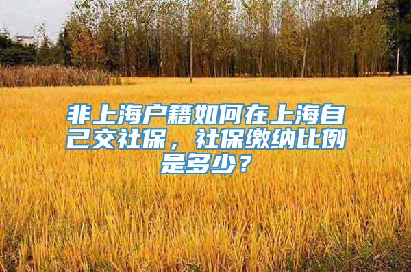 非上海户籍如何在上海自己交社保，社保缴纳比例是多少？